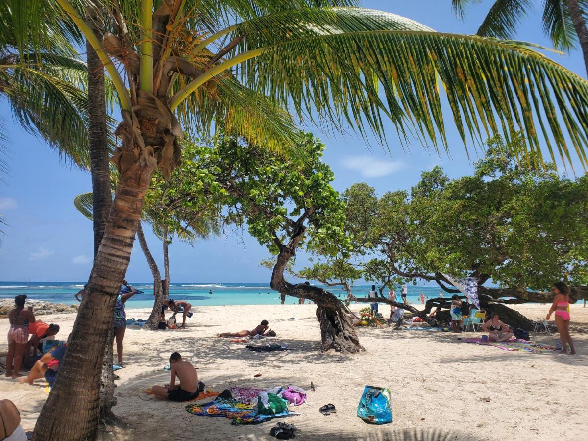 Villa L'Anjou Creole A Sainte Anne En Guadeloupe Avec Piscine Privee Et 2 Chambres Pour 4 Personnes المظهر الخارجي الصورة