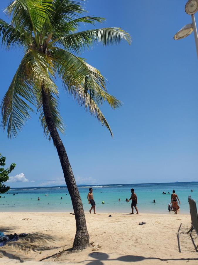 Villa L'Anjou Creole A Sainte Anne En Guadeloupe Avec Piscine Privee Et 2 Chambres Pour 4 Personnes المظهر الخارجي الصورة