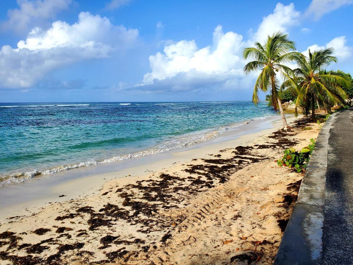 Villa L'Anjou Creole A Sainte Anne En Guadeloupe Avec Piscine Privee Et 2 Chambres Pour 4 Personnes المظهر الخارجي الصورة