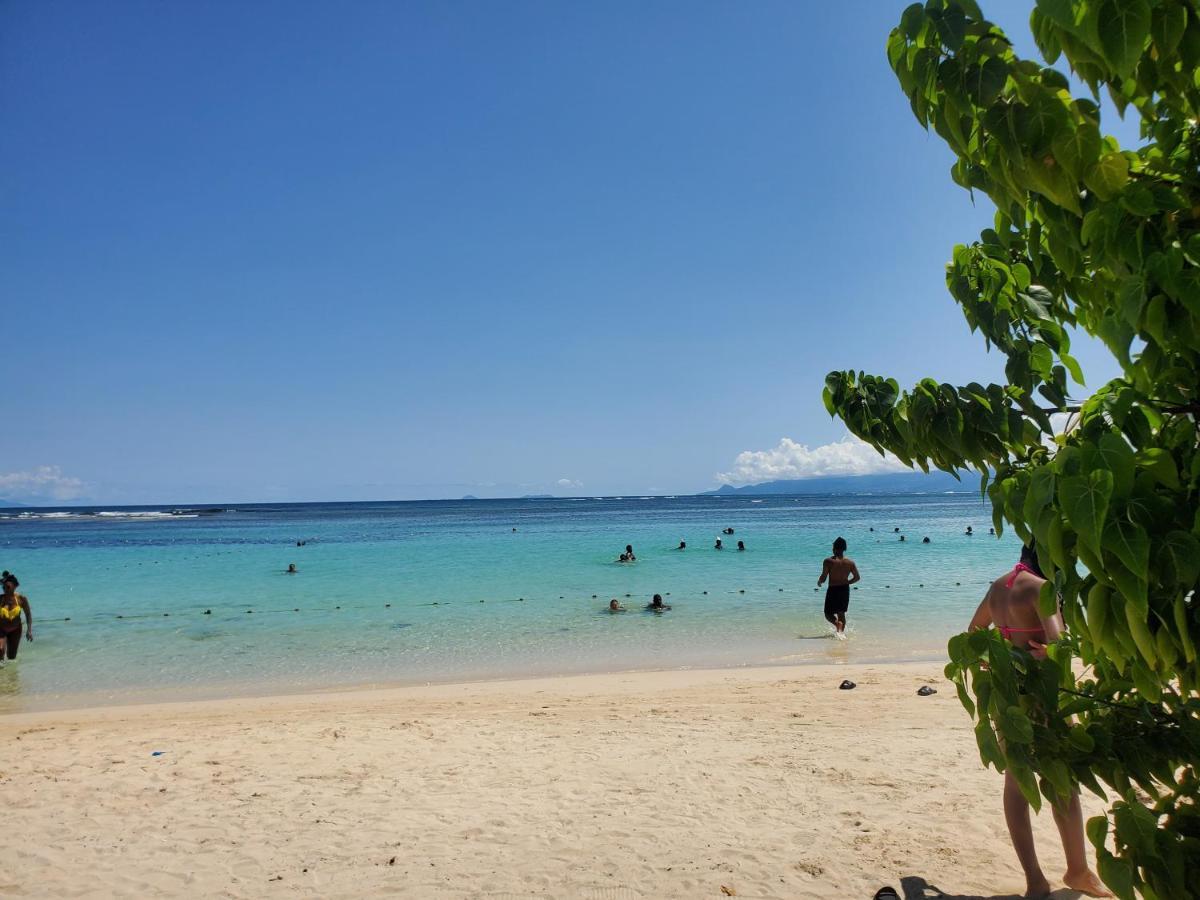 Villa L'Anjou Creole A Sainte Anne En Guadeloupe Avec Piscine Privee Et 2 Chambres Pour 4 Personnes المظهر الخارجي الصورة