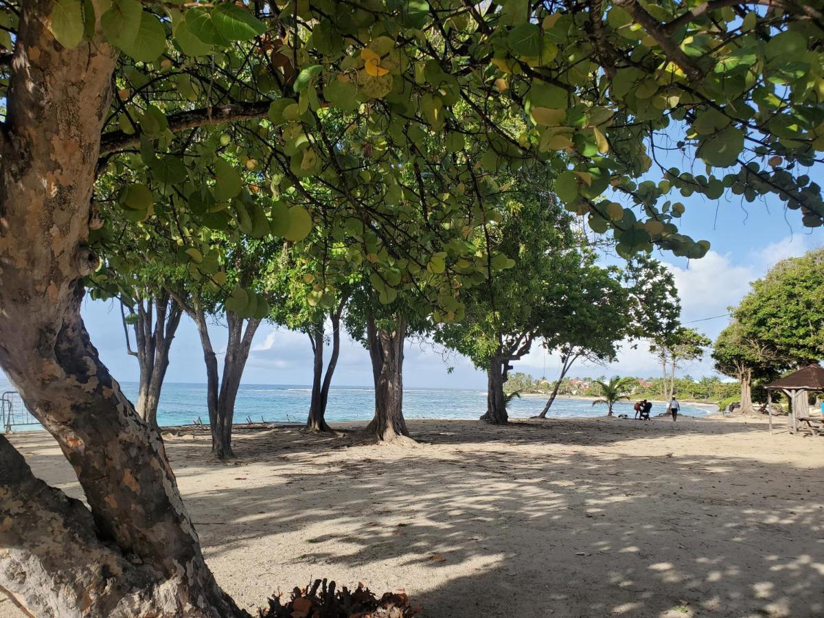 Villa L'Anjou Creole A Sainte Anne En Guadeloupe Avec Piscine Privee Et 2 Chambres Pour 4 Personnes المظهر الخارجي الصورة