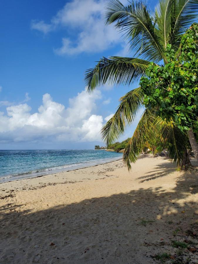 Villa L'Anjou Creole A Sainte Anne En Guadeloupe Avec Piscine Privee Et 2 Chambres Pour 4 Personnes المظهر الخارجي الصورة