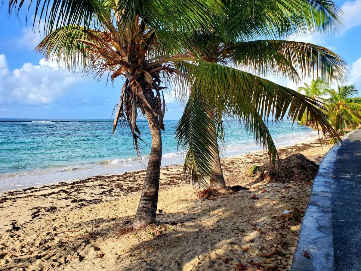 Villa L'Anjou Creole A Sainte Anne En Guadeloupe Avec Piscine Privee Et 2 Chambres Pour 4 Personnes المظهر الخارجي الصورة