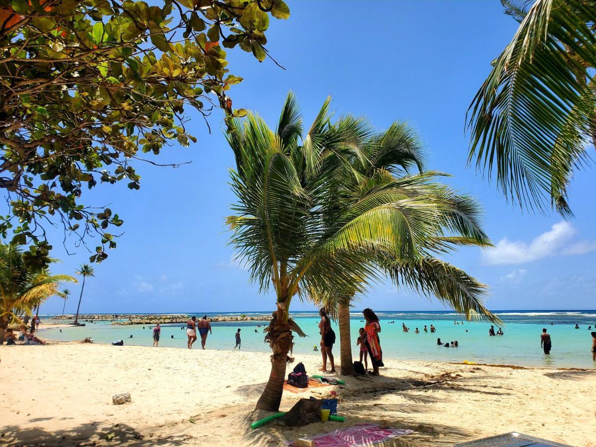 Villa L'Anjou Creole A Sainte Anne En Guadeloupe Avec Piscine Privee Et 2 Chambres Pour 4 Personnes المظهر الخارجي الصورة