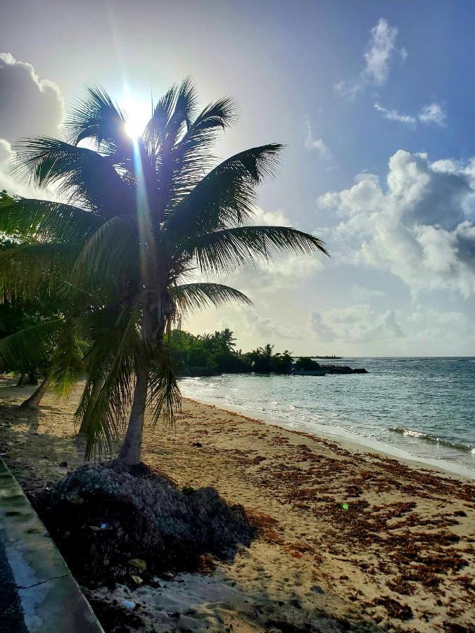 Villa L'Anjou Creole A Sainte Anne En Guadeloupe Avec Piscine Privee Et 2 Chambres Pour 4 Personnes المظهر الخارجي الصورة