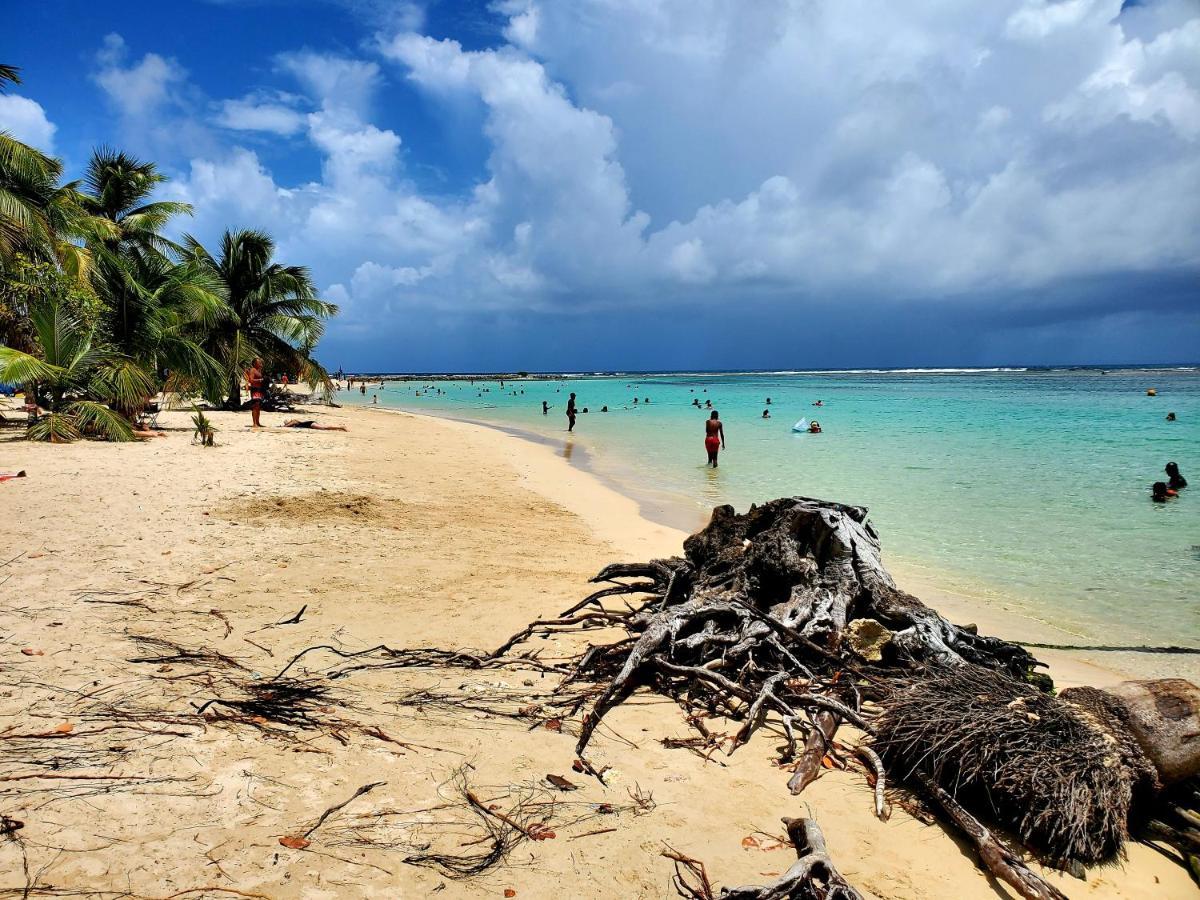 Villa L'Anjou Creole A Sainte Anne En Guadeloupe Avec Piscine Privee Et 2 Chambres Pour 4 Personnes المظهر الخارجي الصورة