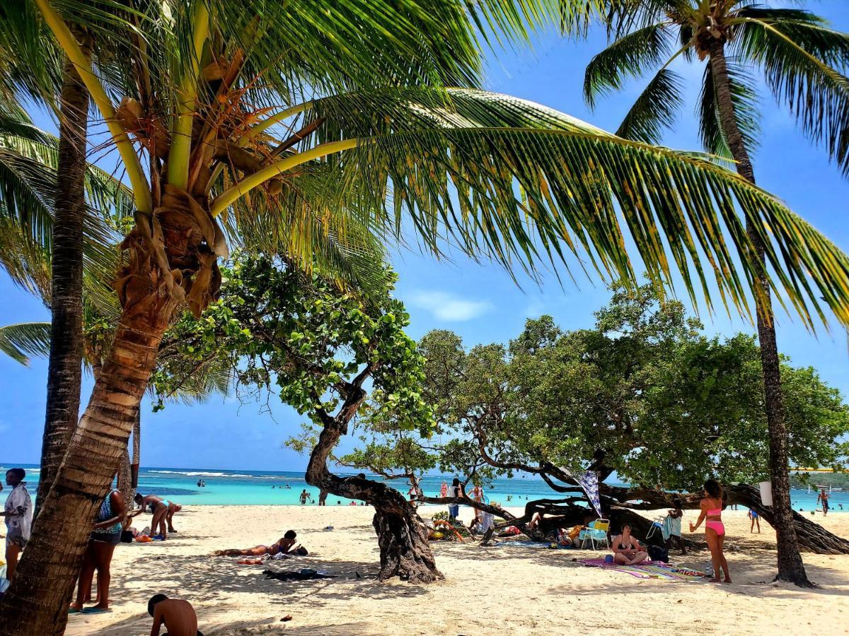 Villa L'Anjou Creole A Sainte Anne En Guadeloupe Avec Piscine Privee Et 2 Chambres Pour 4 Personnes المظهر الخارجي الصورة