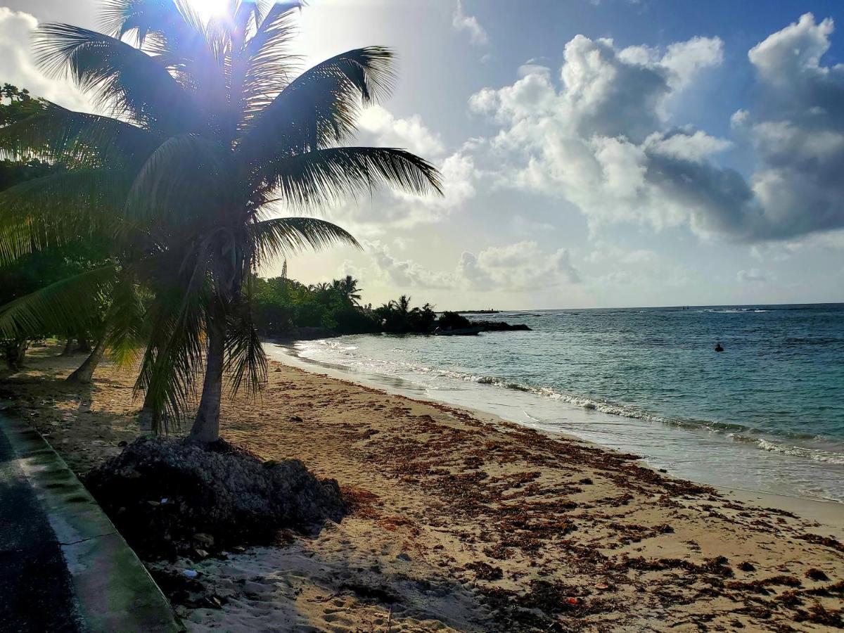 Villa L'Anjou Creole A Sainte Anne En Guadeloupe Avec Piscine Privee Et 2 Chambres Pour 4 Personnes المظهر الخارجي الصورة