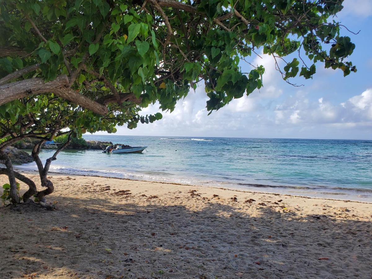 Villa L'Anjou Creole A Sainte Anne En Guadeloupe Avec Piscine Privee Et 2 Chambres Pour 4 Personnes المظهر الخارجي الصورة