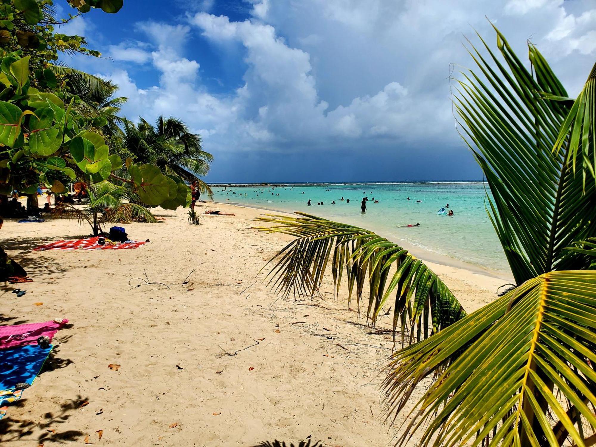 Villa L'Anjou Creole A Sainte Anne En Guadeloupe Avec Piscine Privee Et 2 Chambres Pour 4 Personnes المظهر الخارجي الصورة