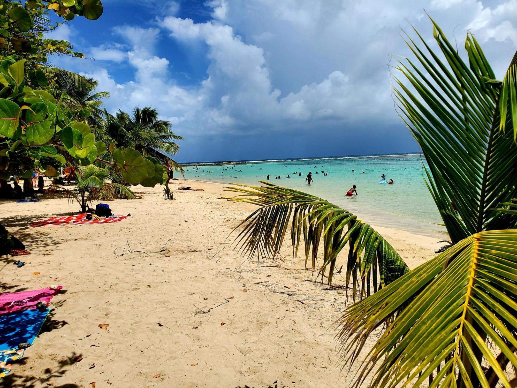 Villa L'Anjou Creole A Sainte Anne En Guadeloupe Avec Piscine Privee Et 2 Chambres Pour 4 Personnes المظهر الخارجي الصورة